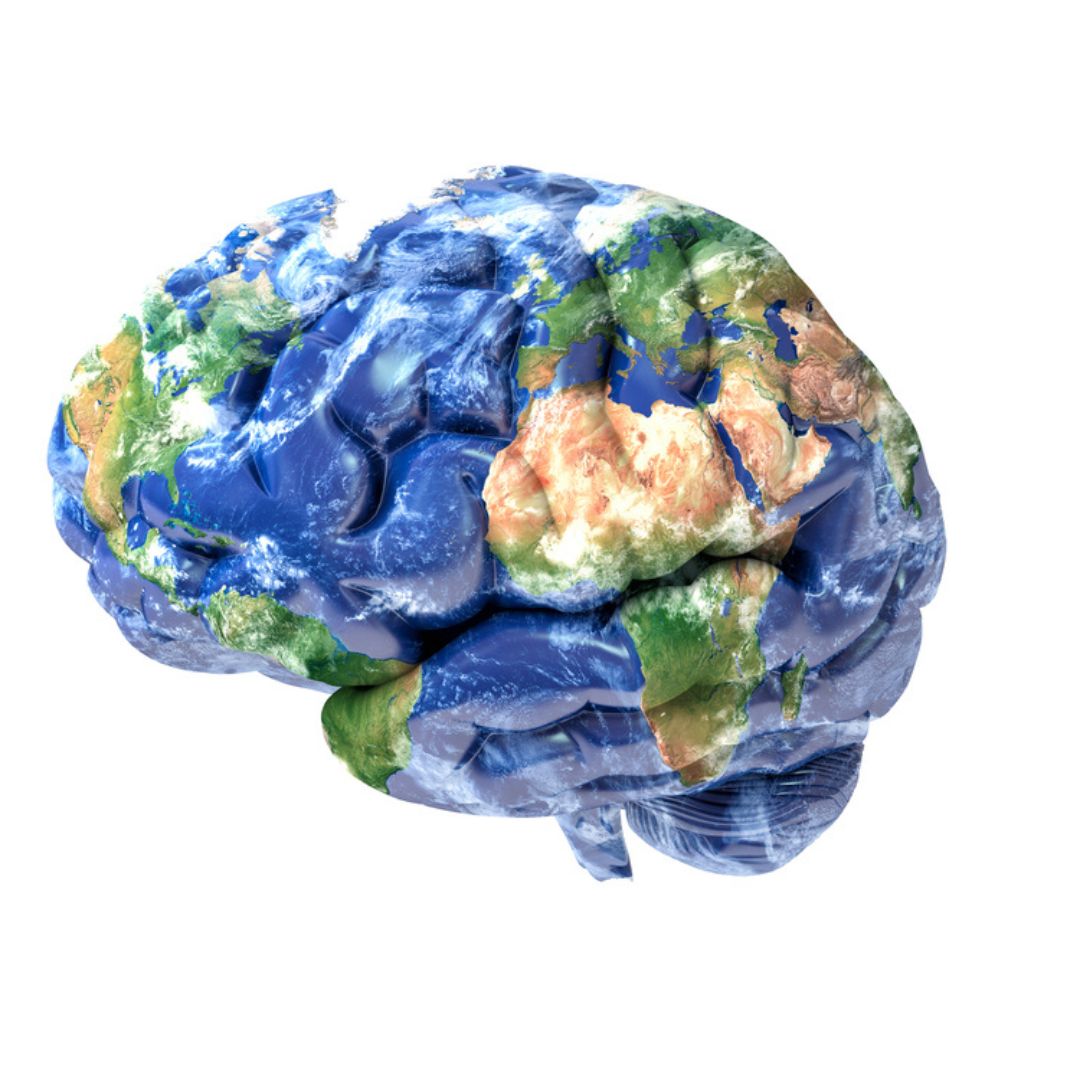 Earth brain